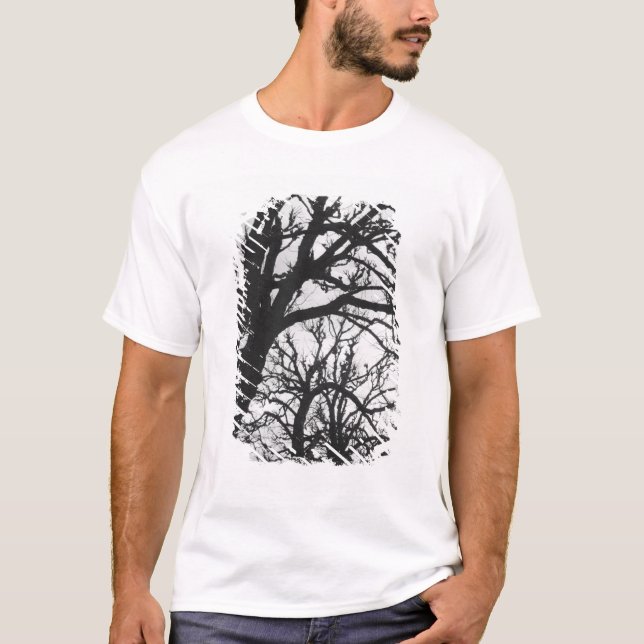 Europa, Frankrike, Paris. Vinterträd, Marco T-shirt (Framsida)