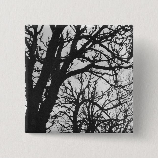 Europa, Frankrike, Paris. Winter träd, Marco Knapp (Framsida)