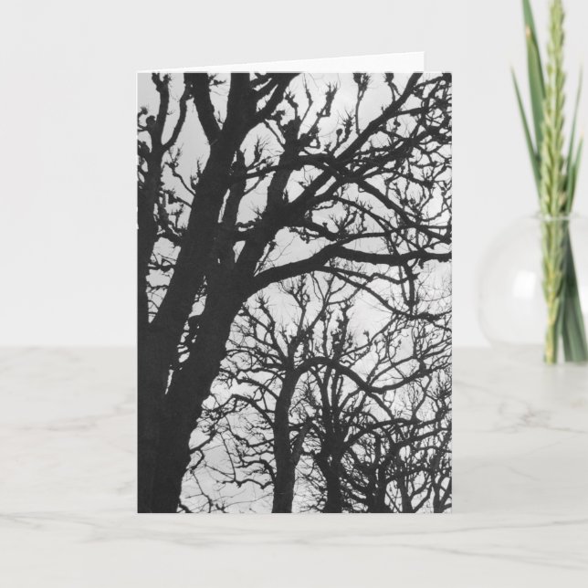 Europa, Frankrike, Paris. Winter träd, Marco Kort (Framsida)