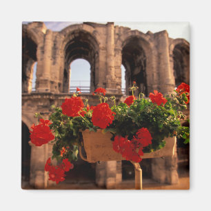 Europa, Frankrike, Provence, Arles, Bouches, du, Magnet