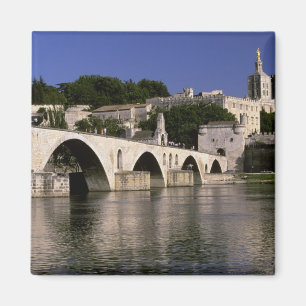 Europa, Frankrike, Provence, Avignon. Palais des Magnet