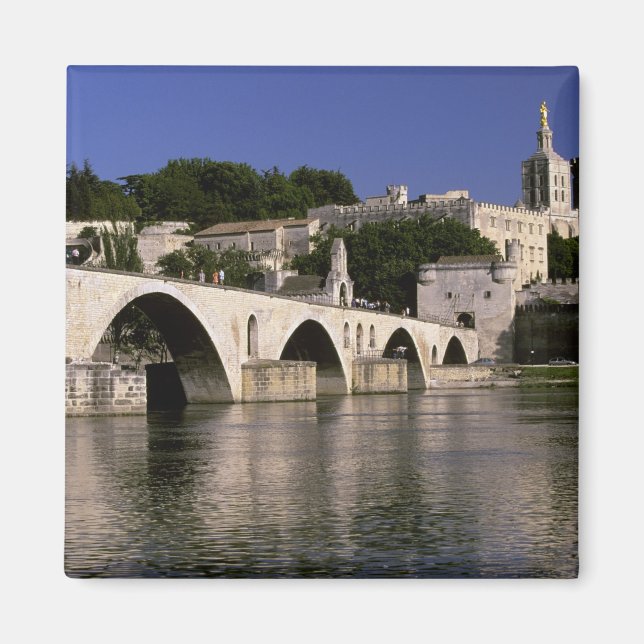 Europa, Frankrike, Provence, Avignon. Palais des Magnet (Framsidan)