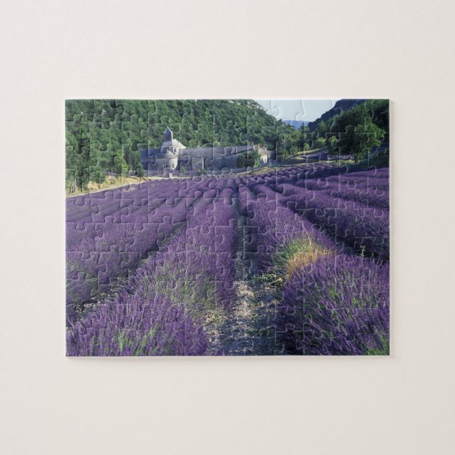 Europa, Frankrike, Provence. Fält med lavendel Pussel (Horisontell)