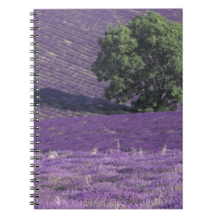 Europa, Frankrike, Provence, Sault, Lavendelfält Anteckningsbok