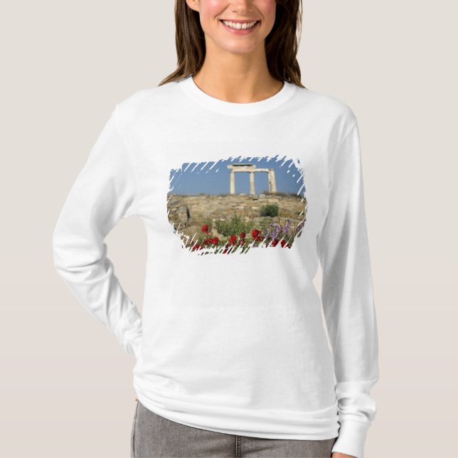 Europa, Grekland, Cykladerna, Delos. Kolumnkrämer. T-shirt (Framsida)