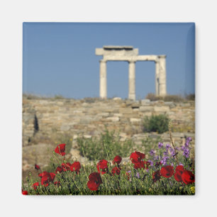 Europa, Grekland, Kykladerna, Delos. Kolonnruiner. Magnet