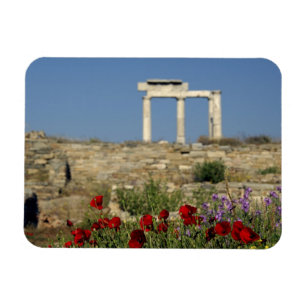 Europa, Grekland, Kykladerna, Delos. Kolonnruiner. Magnet