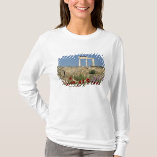 Europa, Grekland, Kykladerna, Delos. Kolonnruiner. T-shirt