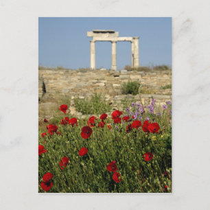Europa, Grekland, Kykladerna, Delos. Kolonnruiner. Vykort