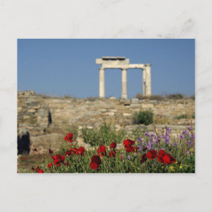 Europa, Grekland, Kykladerna, Delos. Kolonnruiner. Vykort