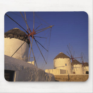 Europa, Grekland, Kykladerna, Mykonos, 2 Musmatta