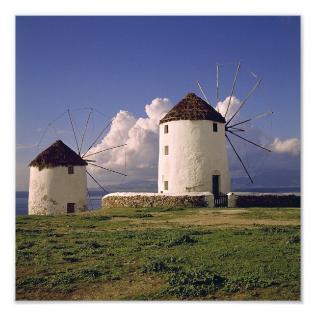 Europa, Grekland, Mykonos. Vit tvättat Fototryck (Framsidan)