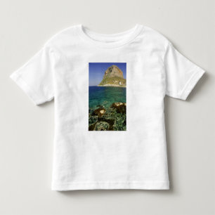 Europa, Grekland, Peloponnesos, Monemvasia. Den T Shirt