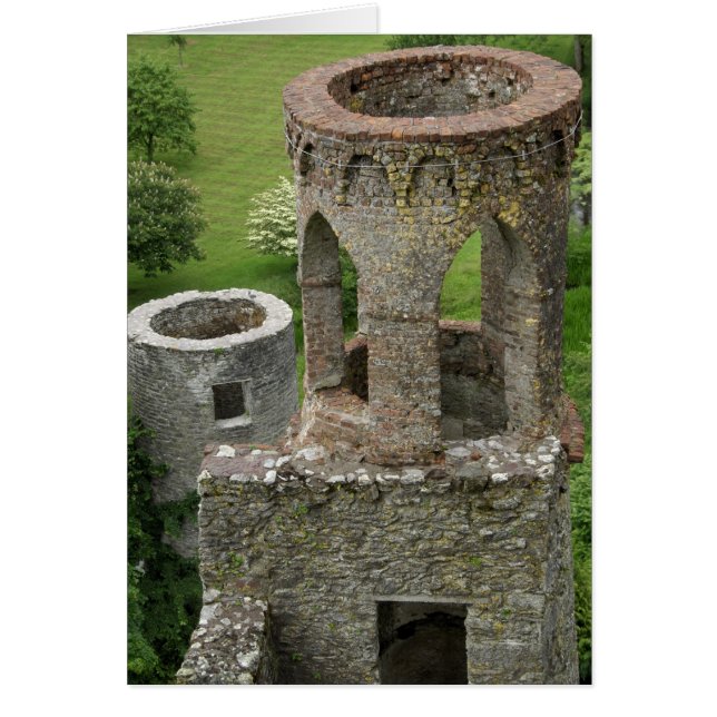 Europa, Irland, Blarney Castle. DEN HÄR BILDEN Hälsningskort (Framsidan)