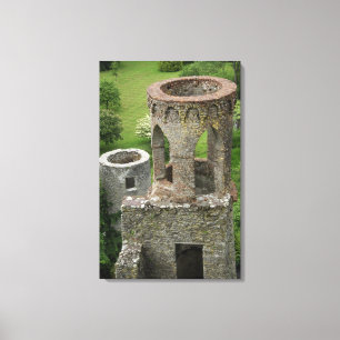 Europa, Irland, Blarney Castle. DENNA BILD