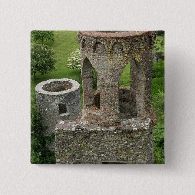 Europa, Irland, Blarney Castle. DENNA BILD Knapp (Framsida)