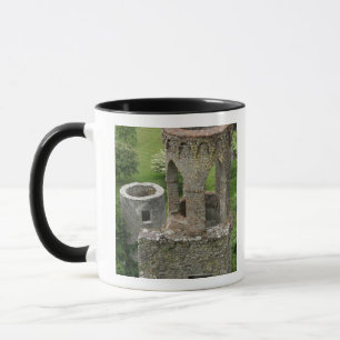Europa, Irland, Blarney Castle. DENNA BILD Mugg