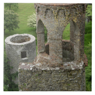 Europa, Irland, Blarney slott. DENNA BILD Kakelplatta