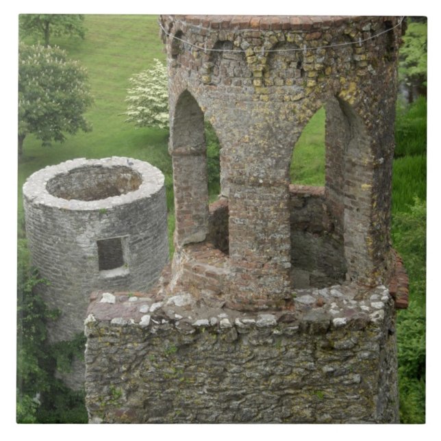 Europa, Irland, Blarney slott. DENNA BILD Kakelplatta (Framsidan)