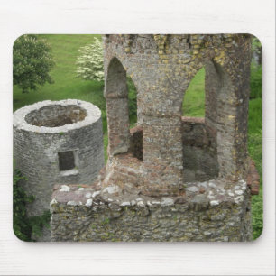 Europa, Irland, Blarney slott. DENNA BILD Musmatta