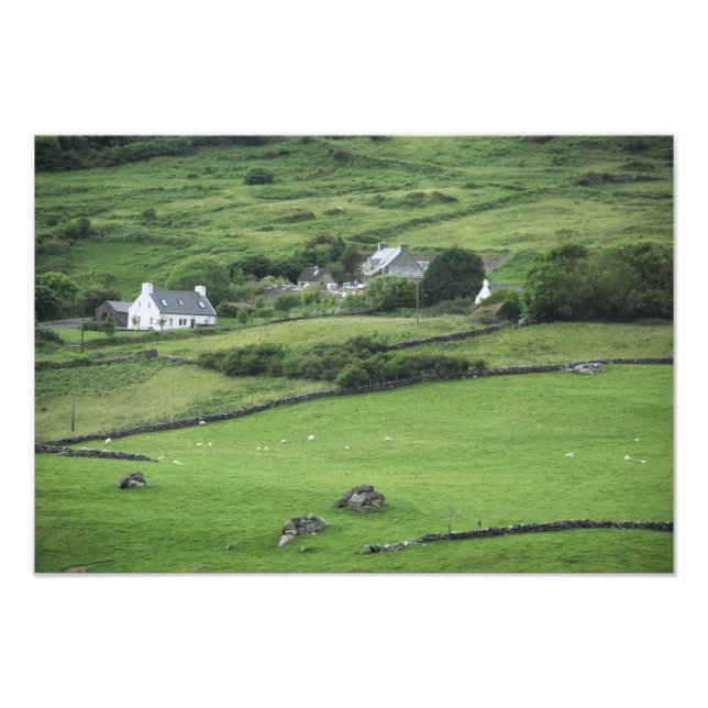 Europa, Irland, Kerry County, Ring of Kerry. Fototryck (Framsidan)