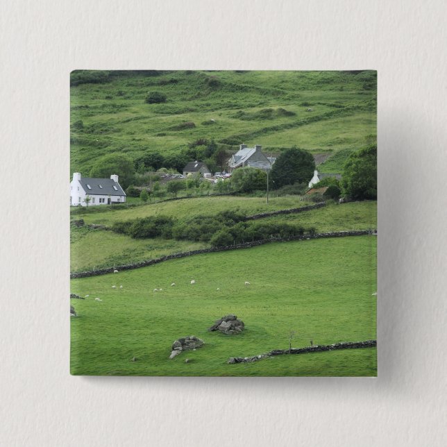 Europa, Irland, Kerry County, Ring of Kerry. Knapp (Framsida)