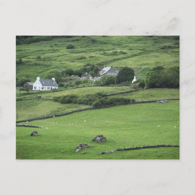 Europa, Irland, Kerry County, Ring of Kerry. Vykort (Framsida)