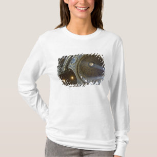 Europa, Italien, Rom. Peterskyrkan (även kallad T Shirt