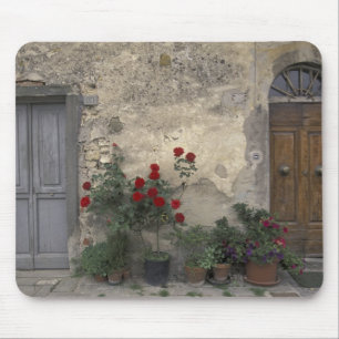 Europa, Italien, Toscana, Chianti, toskansk dörröp Musmatta