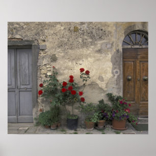 Europa, Italien, Toscana, Chianti, toskansk dörröp Poster