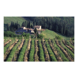 Europa, Italien, Toscana. Naturskön villa cypern. Fototryck