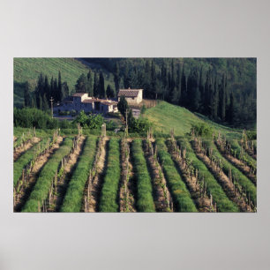 Europa, Italien, Toscana. Naturskön villa cypern. Poster