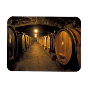 Europa, Italien, Toscana regionen. Chianti källare Magnet