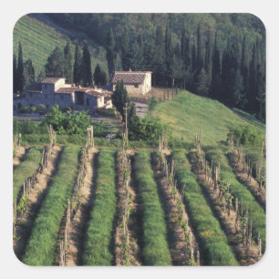 Europa, Italien, Toscana. Scenisk villa cypern. Fyrkantigt Klistermärke