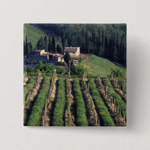 Europa, Italien, Toscana. Scenisk villa cypern. Knapp
