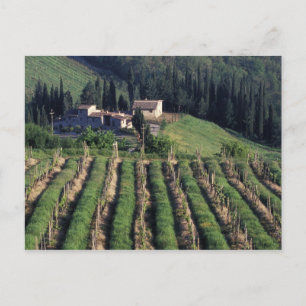 Europa, Italien, Toscana. Scenisk villa cypern. Vykort