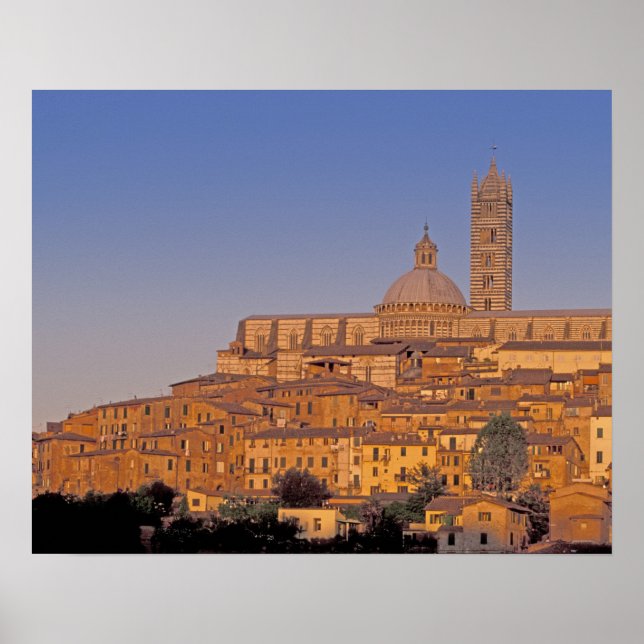 Europa, Italien, Toscana, Siena. 1300-talet 3 Poster (Framsidan)