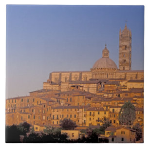 Europa, Italien, Toscana, Siena. 13:e århundrade 3 Kakelplatta