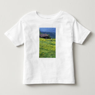 Europa, Italien, Toscana, Siena, Chianti. Tee
