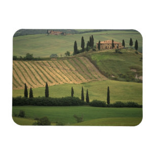 Europa, Italien, Toscana, Val d' Orcia, toskansk Magnet
