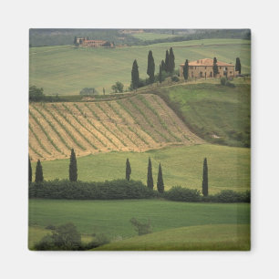 Europa, Italien, Toscana, Val d' Orcia, toskansk Magnet