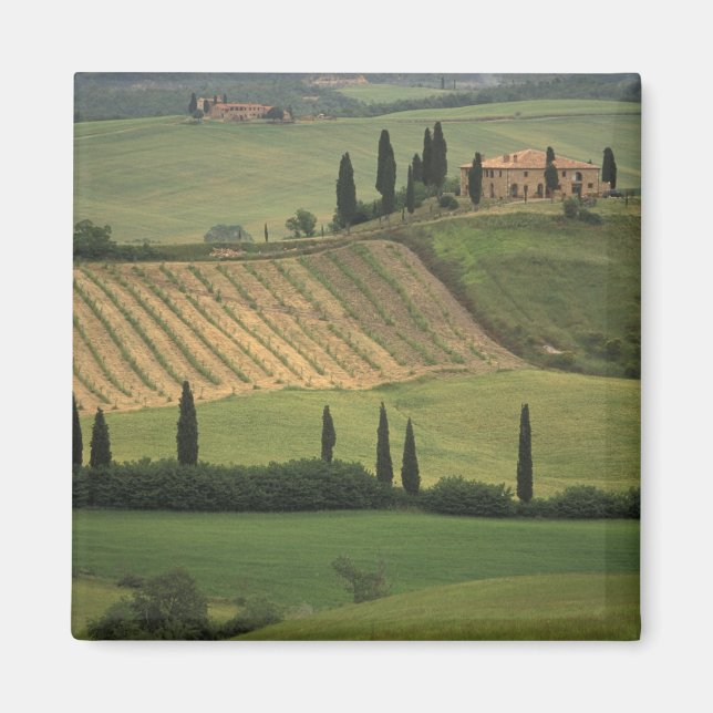 Europa, Italien, Toscana, Val d' Orcia, toskansk Magnet (Framsidan)