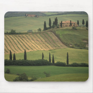 Europa, Italien, Toscana, Val d' Orcia, toskansk Musmatta