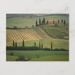 Europa, Italien, Toscana, Val d' Orcia, toskansk Vykort