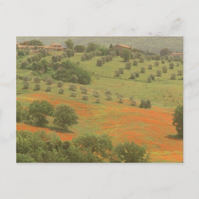 Europa, Italien, Toscana, Val D'Orcia, Monte Vykort (Framsida)