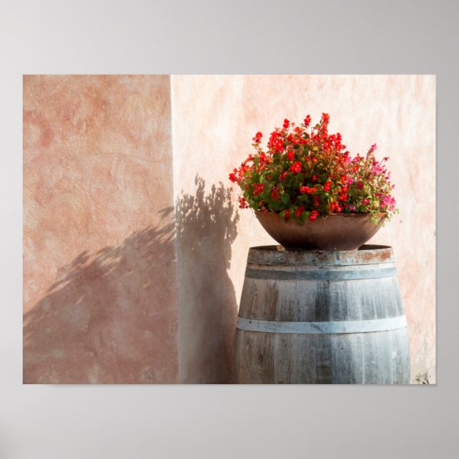 Europa, Italien, Toskana. Flower pot Poster (Framsidan)