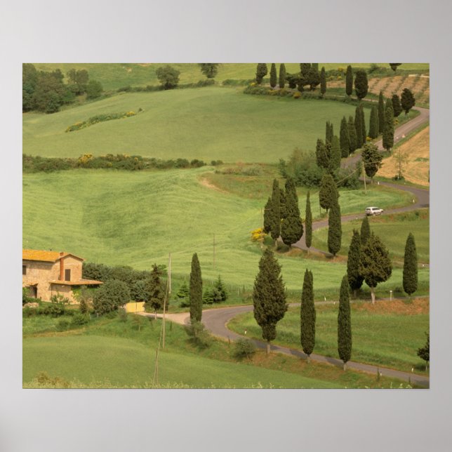 Europa, Italien, Toskana, Monticchiello. Curvy Poster (Framsidan)