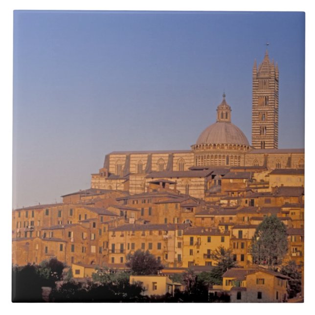 Europa, Italien, Toskana, Siena. 1300-talet Kakelplatta (Framsidan)