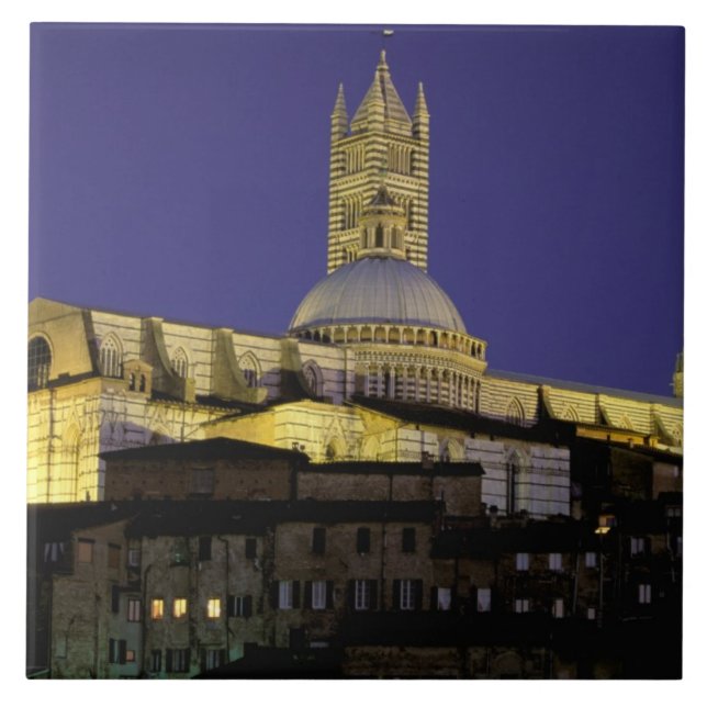 Europa, Italien, Toskana, Siena. 1300-talet Kakelplatta (Framsidan)