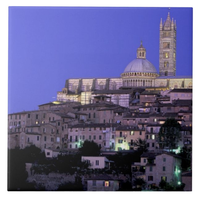 Europa, Italien, Toskana, Siena. 13th C. Duomo och Kakelplatta (Framsidan)